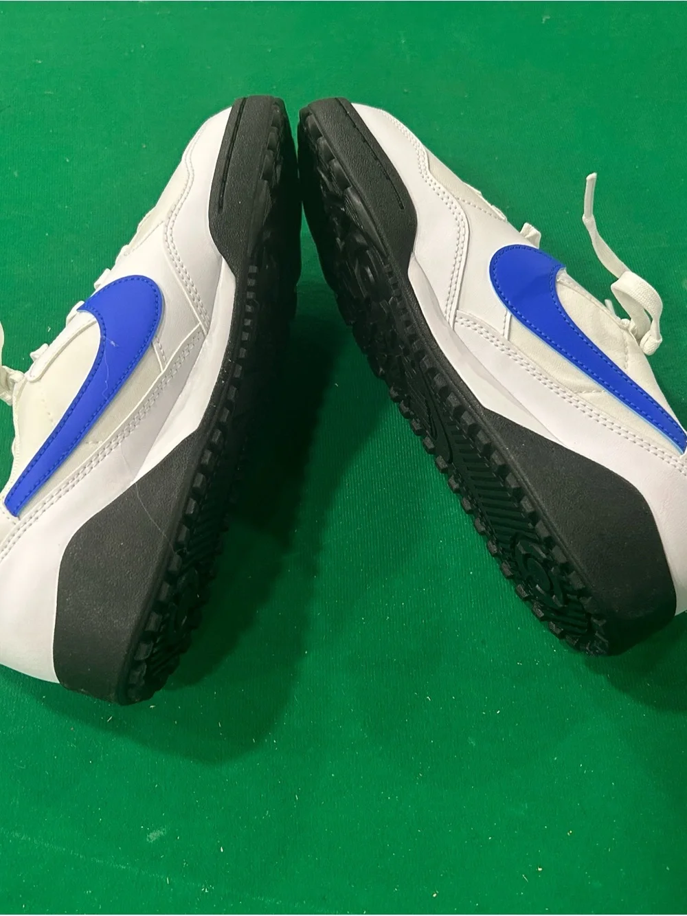 Nike White and Blue Low-Top Sneakers